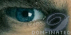 a Dominic Monaghan clique