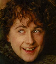 Peregrin Took