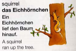 eat a fat squirrel