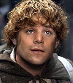 Samwise Gamgee